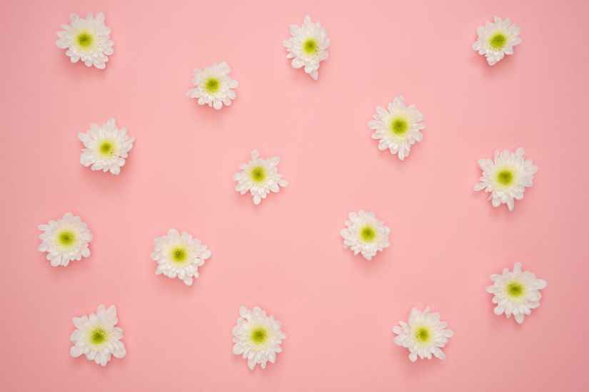 white and yellow flower on pink wall